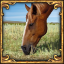 I'll graze my horse here.. And here... icon